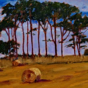 haybales at monasterboice