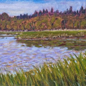 pond at the monks of collon, louth