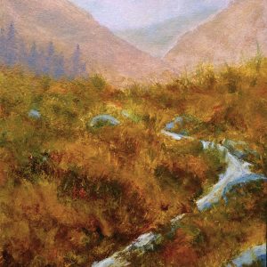 Cooley Mountain Stream