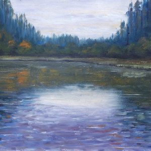 castle lake, bailieboro