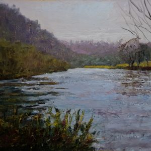 River Boyne at Oldbridge