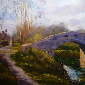 Boyne Canal at Donore, Co. Meath, Ireland