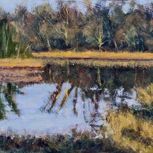 Beauliegu Pond, Baltray, County Louth