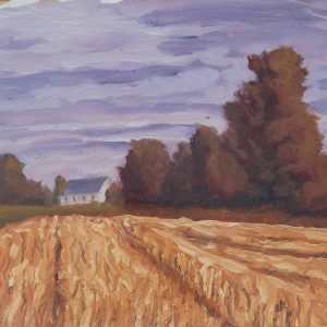 Wheatfield at Cooperhill, County Meath