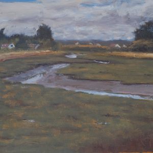 Mornington Sloblands, County Meath